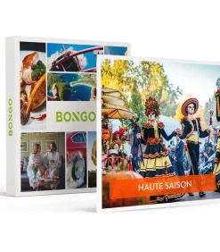 Bongo 2 dagen Europa-Park voor 1 volwassene in het hoogseizoen - Actie