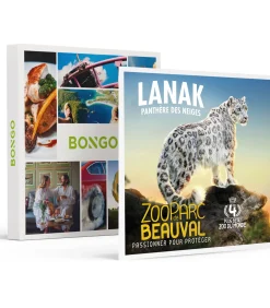 Bongo 2 dagen in het Franse ZooParc de Beauval in 2025 voor 2 personen - Actie