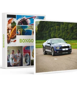 Online 2 rondes als piloot in een Ford Mustang Shelby GT500 in Mettet - Actie Geschenken