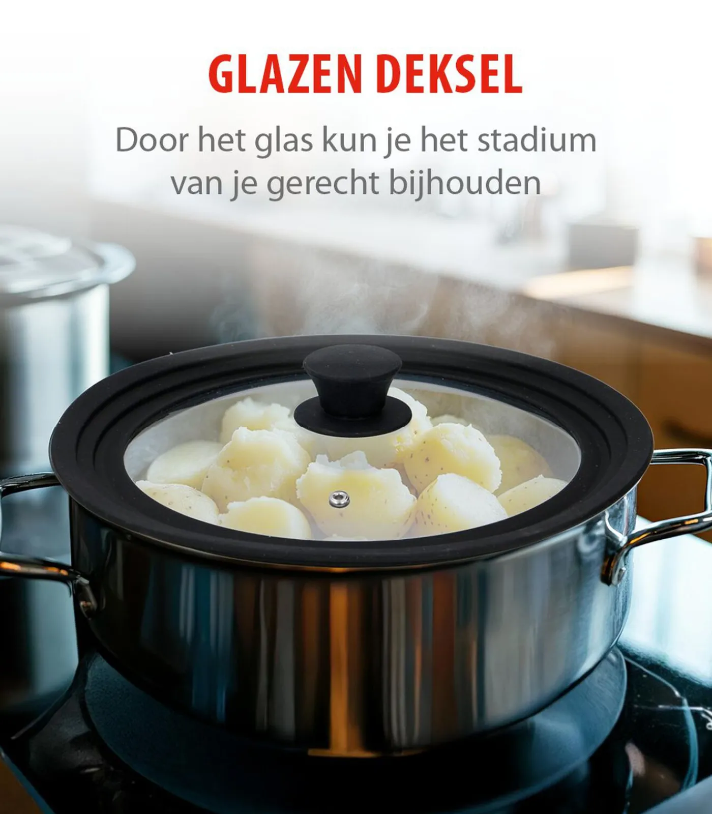 Kinderen Alpina glazen pannendeksel met siliconen rand - universeel 28 cm