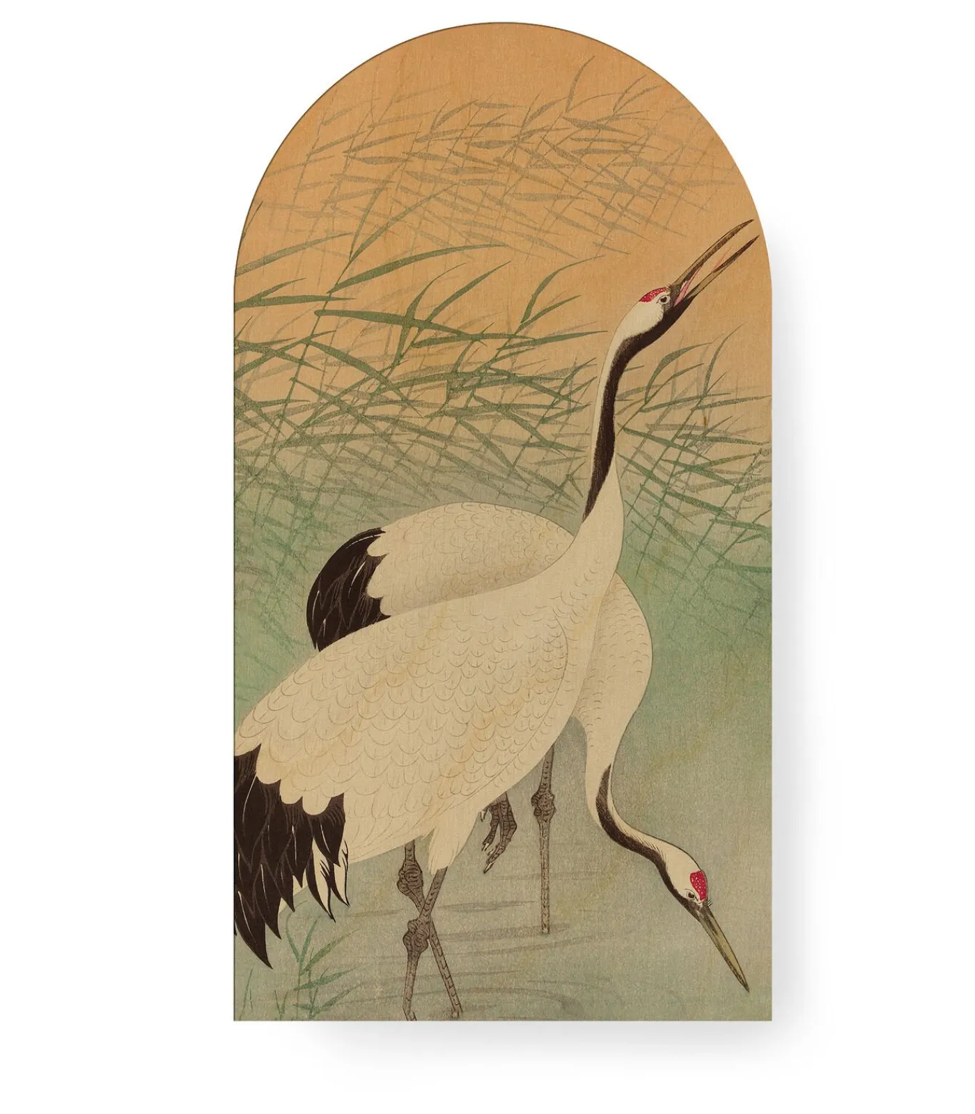 New Canvas - Kraanvogels in de Ochtend - 100x54 Wanddecoratie