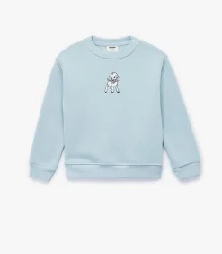 Kinderen Koton Blauw Kindertrui Lange Mouwen Schaap Borduurwerk