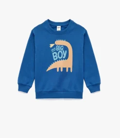 Discount Blauw Sweatshirt Dino Print Lange Mouwen Katoen Kinderen Truien & Vesten