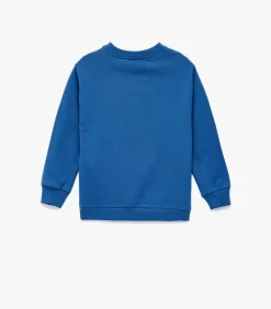 Discount Blauw Sweatshirt Dino Print Lange Mouwen Katoen Kinderen Truien & Vesten