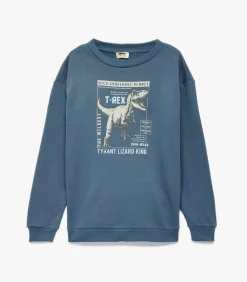 Kinderen Koton Blauw Sweatshirt Lange Mouwen Ronde Hals Dino Print