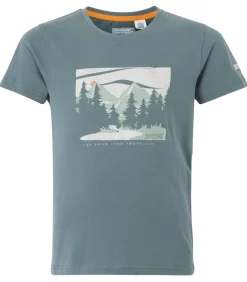 Kinderen Regatta BOSLEY VIII - T-shirt - Marineblauw