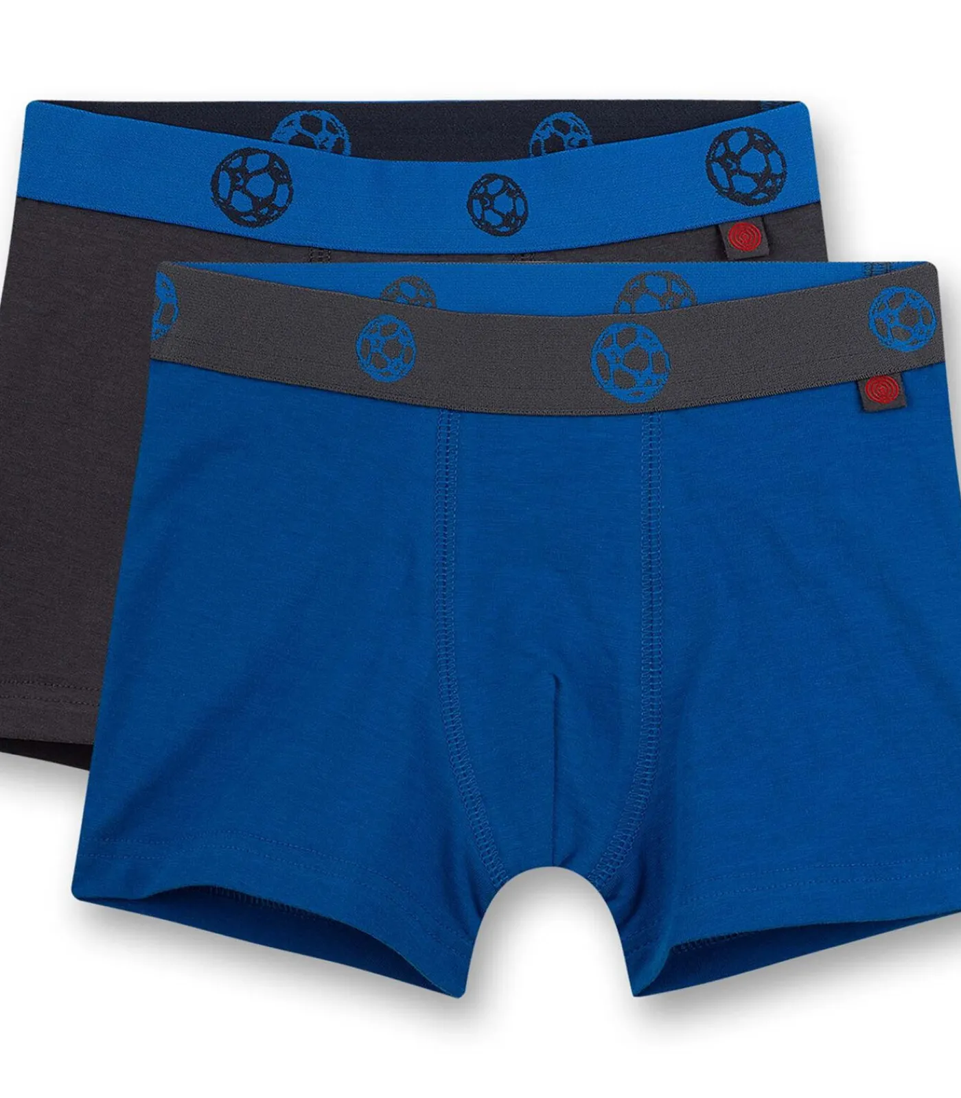 Kinderen Sanetta Boxershorts Set van 2