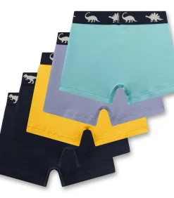 New Boxershorts Set van 5 Kinderen Ondergoed En Nachtmode