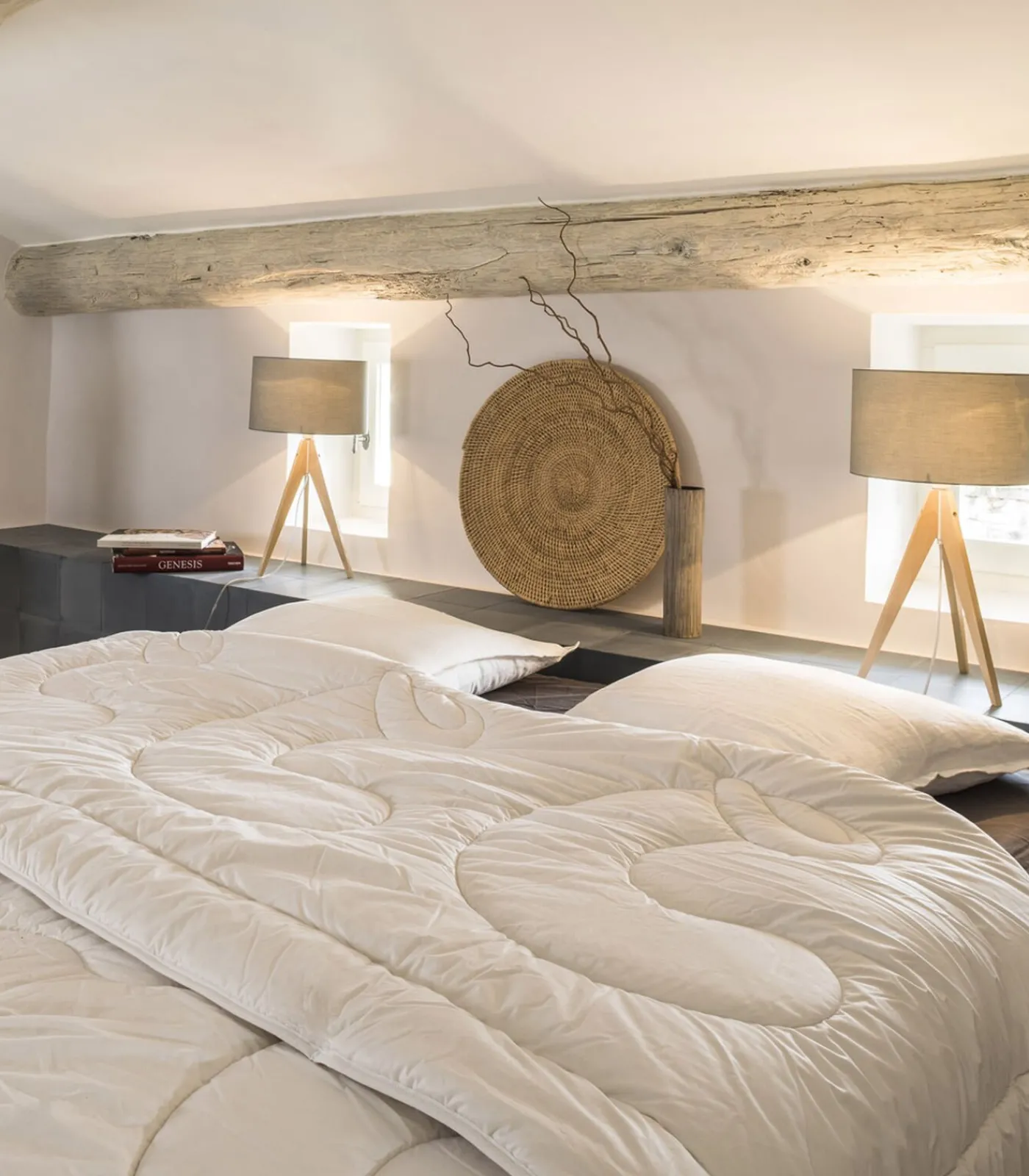 Online Camargue dekbed 150 Dekbedden