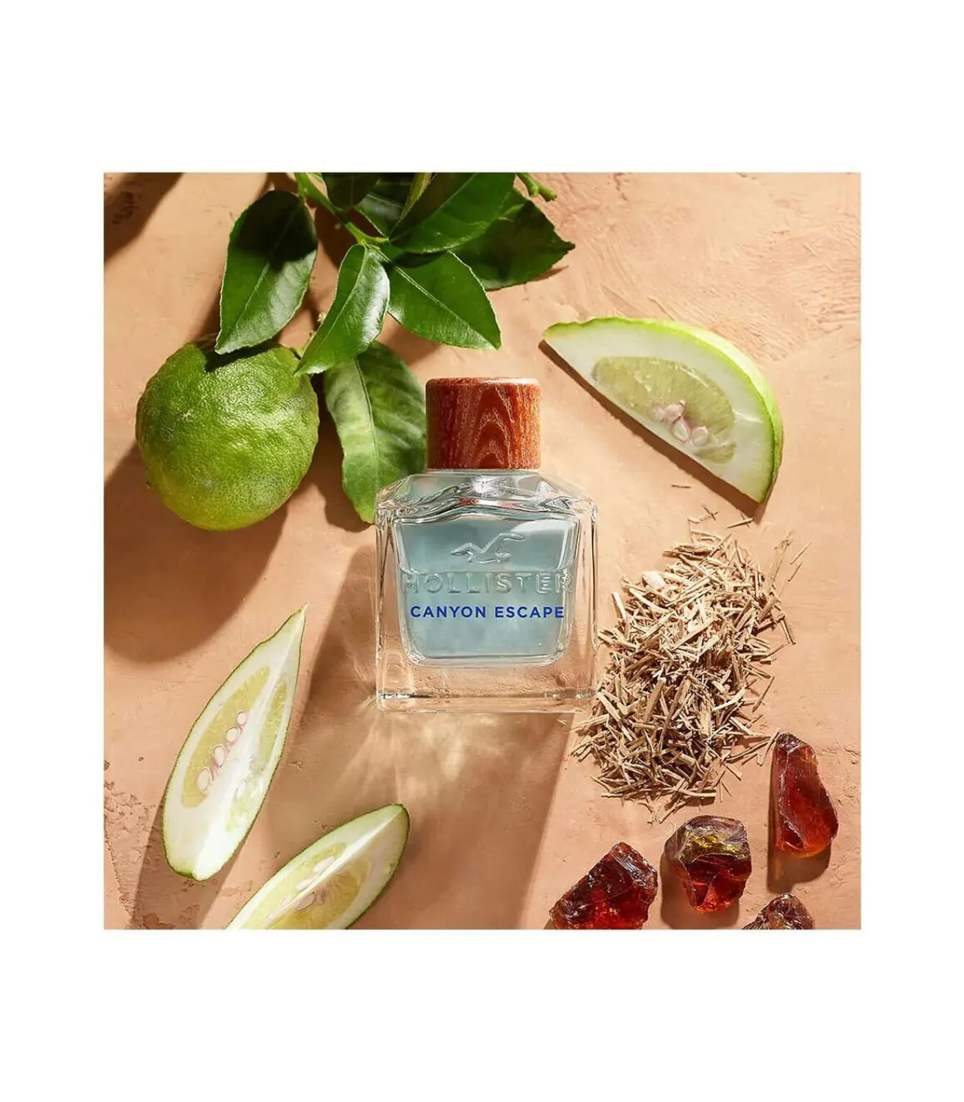 Hollister Canyon Escape Eau de Toilette voor Hem 50 ml