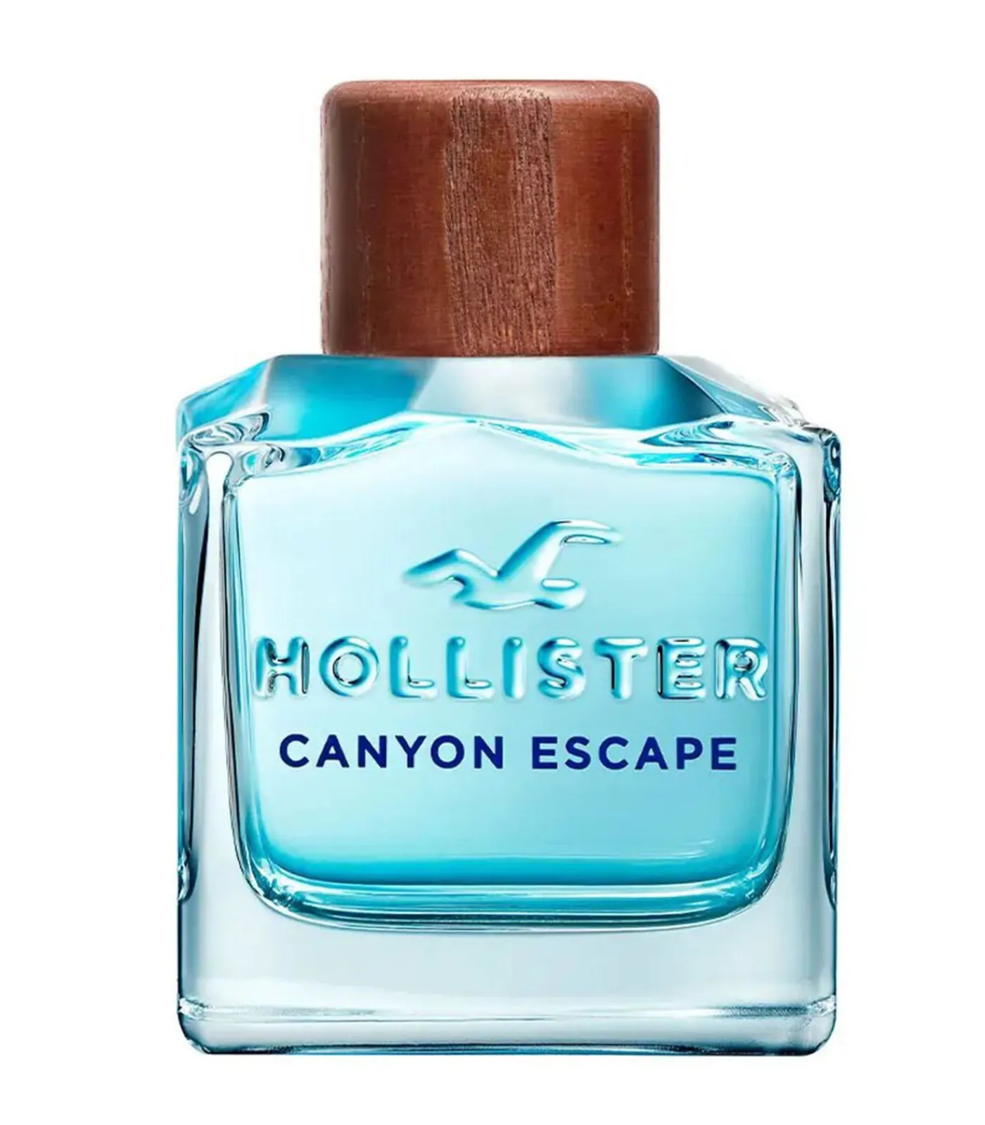 Hollister Canyon Escape Eau de Toilette voor Hem 100 ml