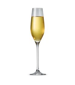 Salt&Pepper Champagneglas 21cl Cuvee - set/6