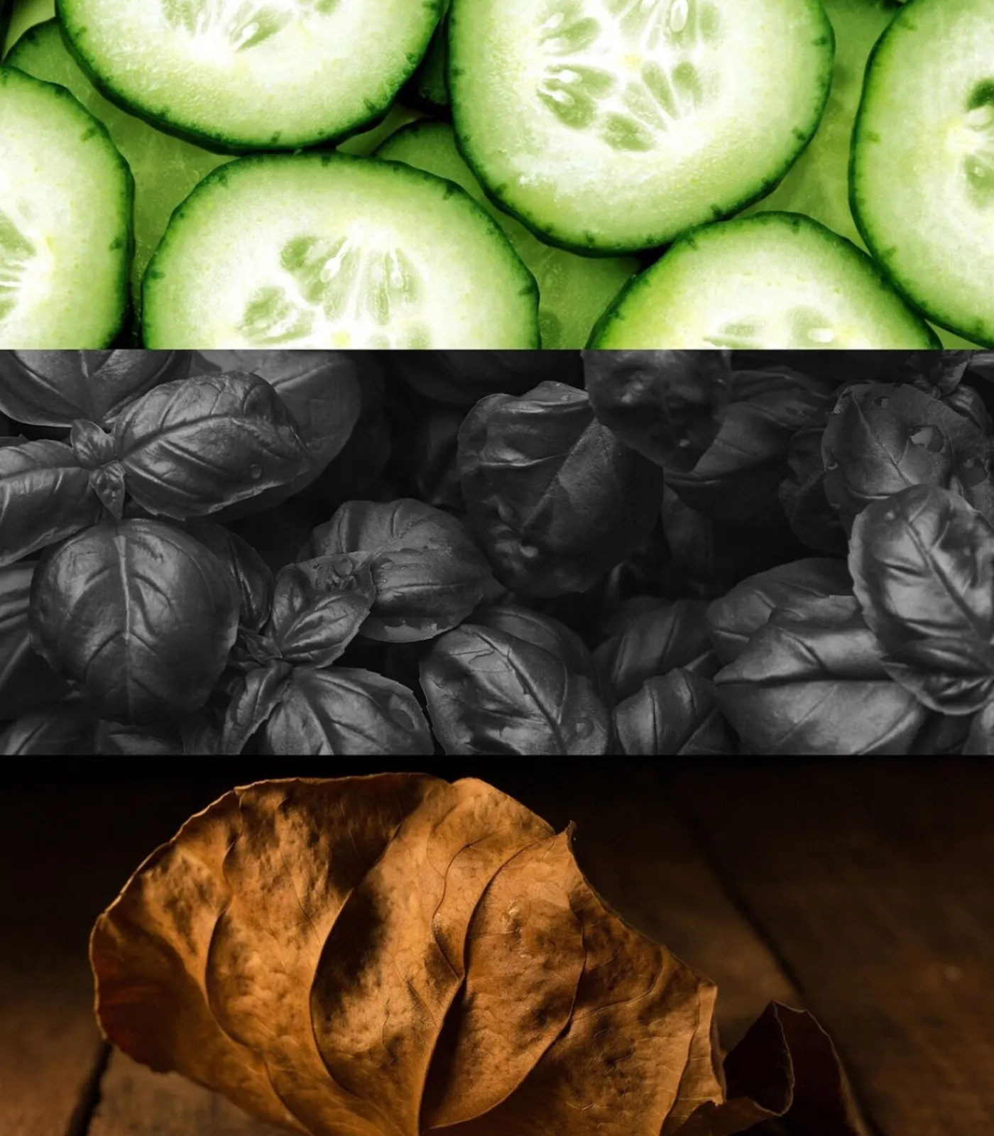 Clearance CK ONE SHOCK HIM eau de toilette vaporisateur 100 ml Eau De Toilette