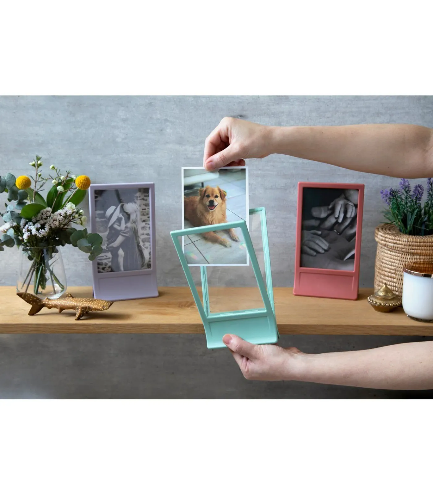 Peleg Design Clipic - fotolijst - roze