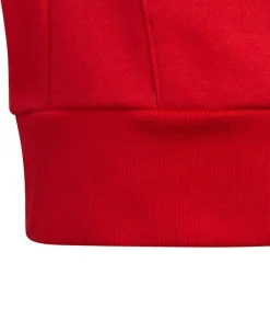 Kinderen Adidas COLOUR BLOCK - Trui met kap - Rood
