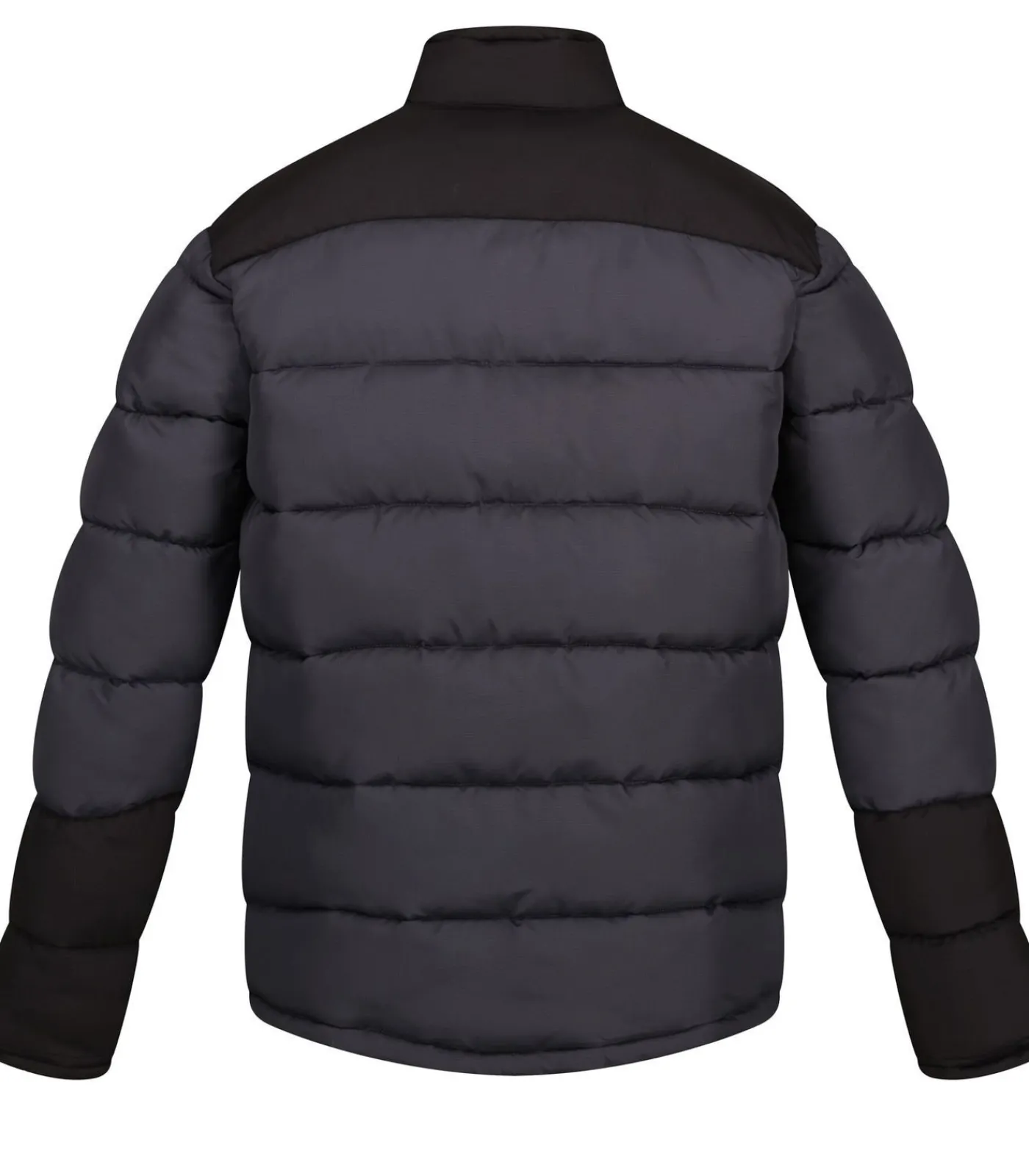 Heren Regatta Professional CONTRAST - Jasje - Donkergrijs