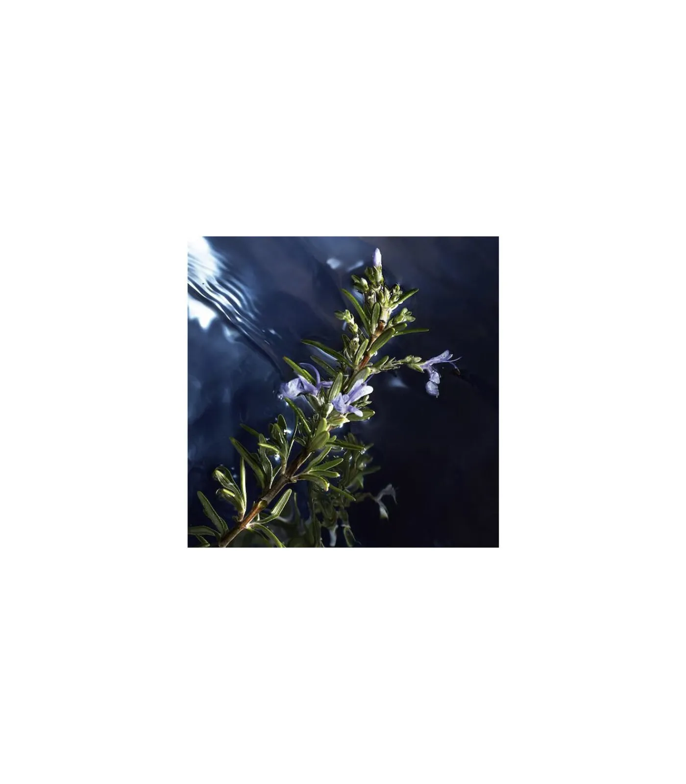 Davidoff Cool Water Reborn Eau de Toilette 125 ml