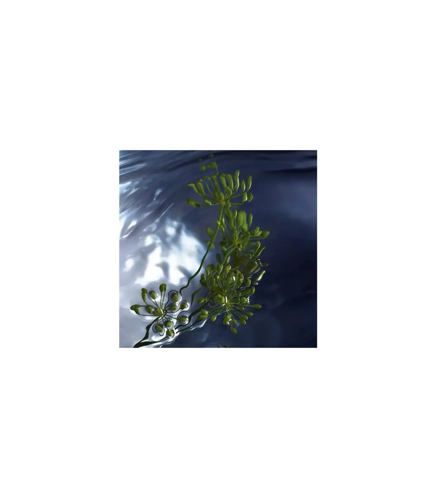 Davidoff Cool Water Reborn Eau de Toilette 125 ml