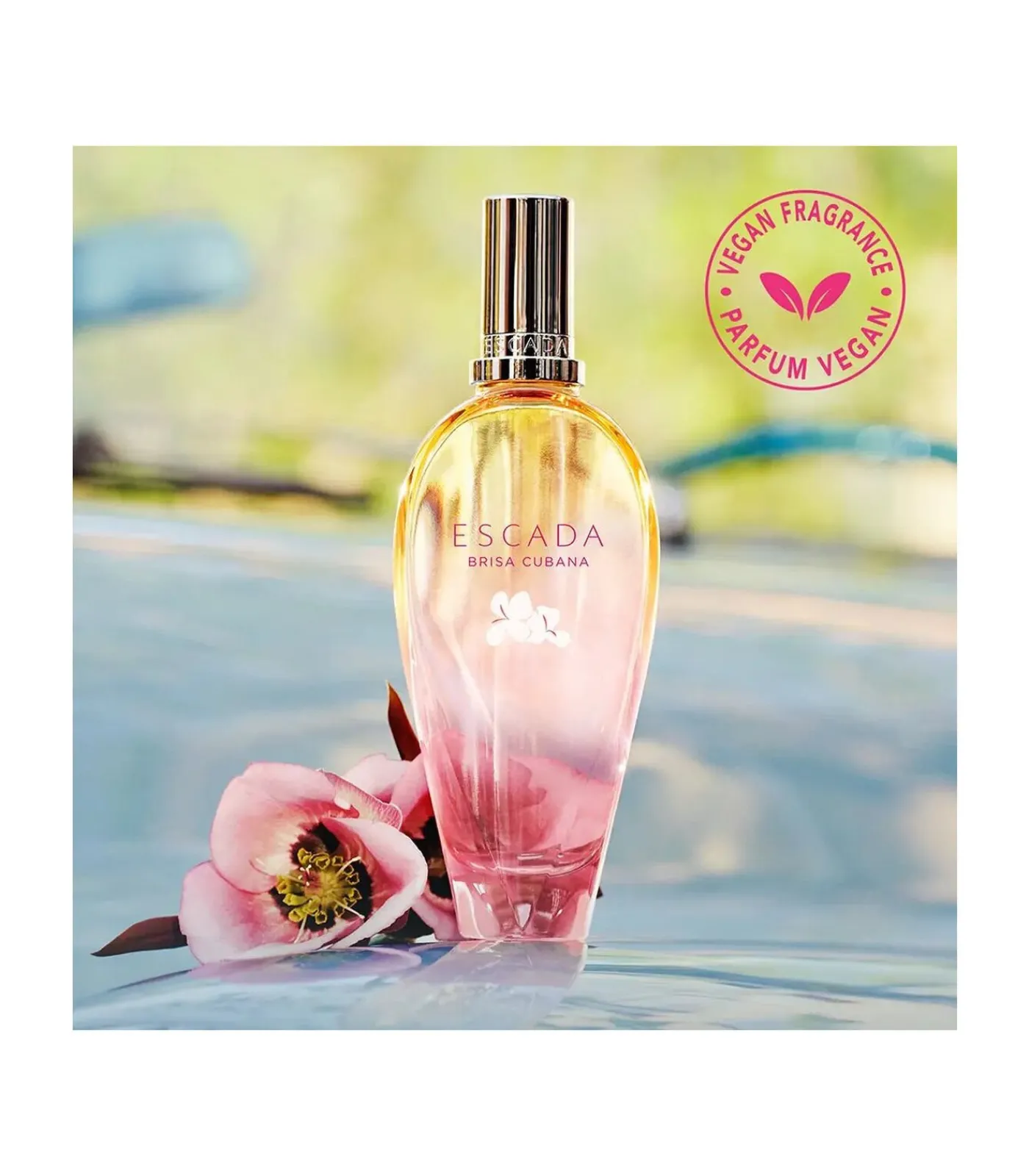 Hot Cuban Breeze Eau de Toilette 50 ml Eau De Toilette