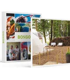 Bongo Culinair 4-gangenmenu in een privébos in Braine-l'Alleud - Eten & drinken