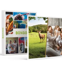 Clearance 2-daagse in de Ardennen voor 4 incl. Grotten van Han-tickets - Specials Geschenken