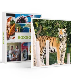 Outlet Dagje Bellewaerde voor 1 persoon - Actie Geschenken