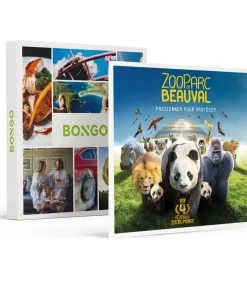Bongo Dagje in het Franse ZooParc de Beauval in 2025 voor een gezin van 4 - Actie