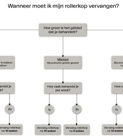 LAYZIN Dermarollerkop maat L met naaldjes van 1.2 mm
