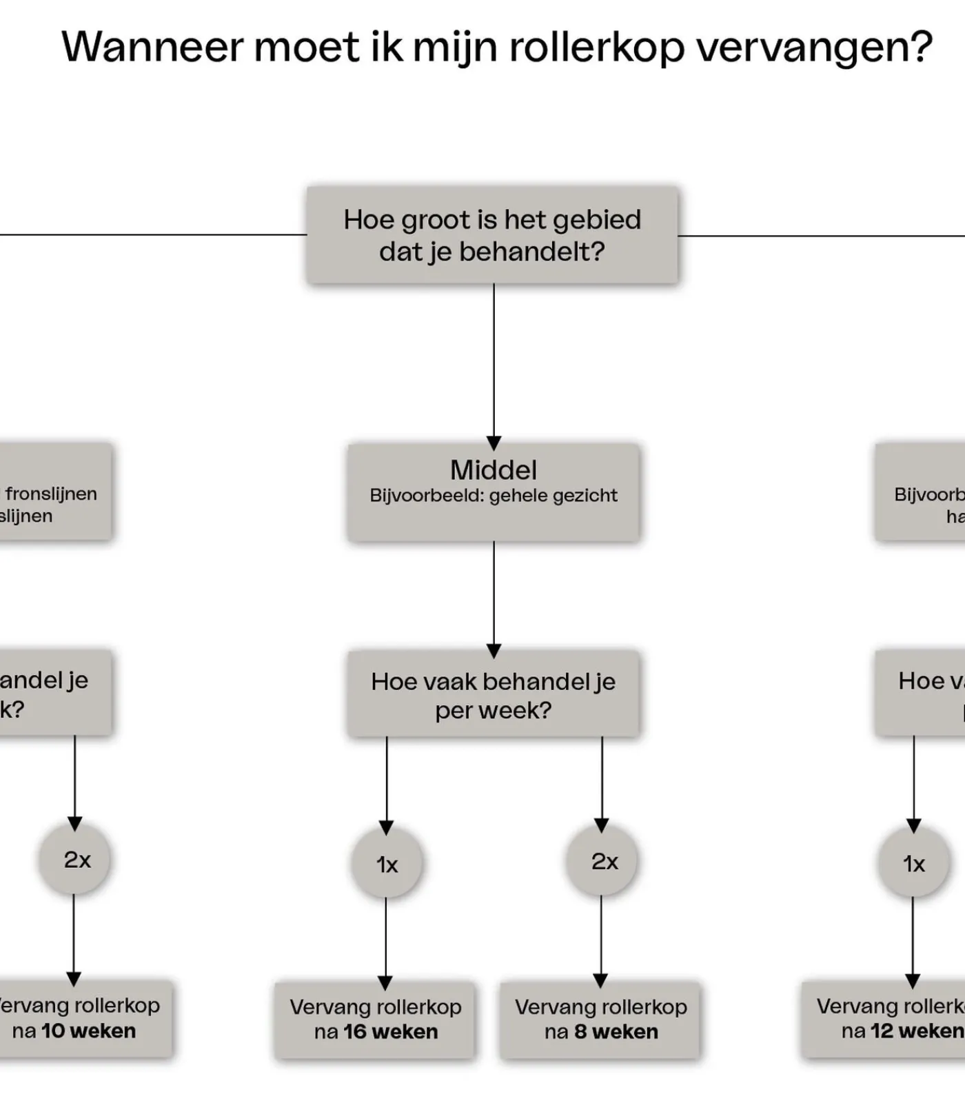 New Dermarollerkop maat M met naaldjes van 0.55 mm Gezichtsverzorgings Accessoires