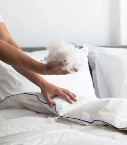 Dons & Veren Hoofdkussen Kussens