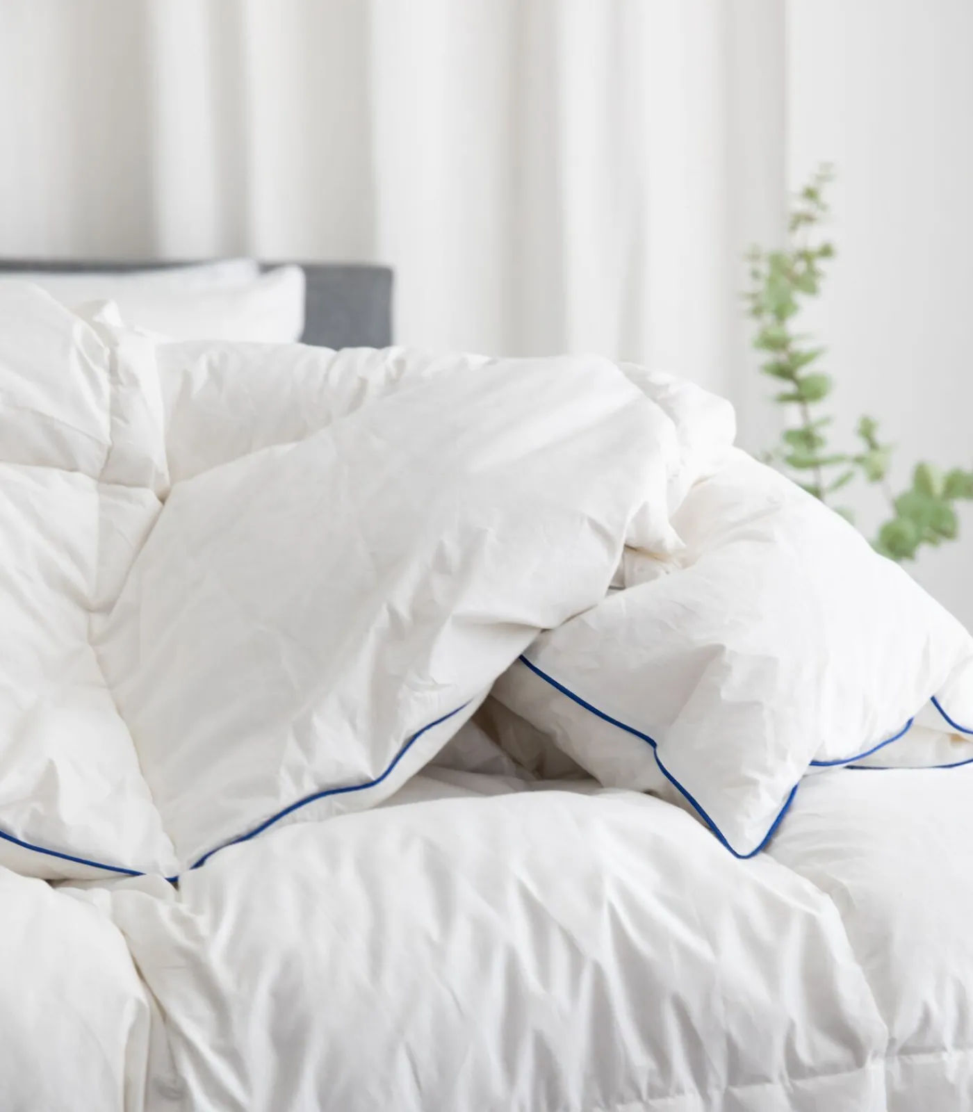 Fabiola Dons 4-Seizoenen Dekbed