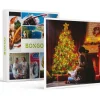 Bongo Een wonderlijke kerst: 1 belevenis voor 1 of 2 personen - Specials