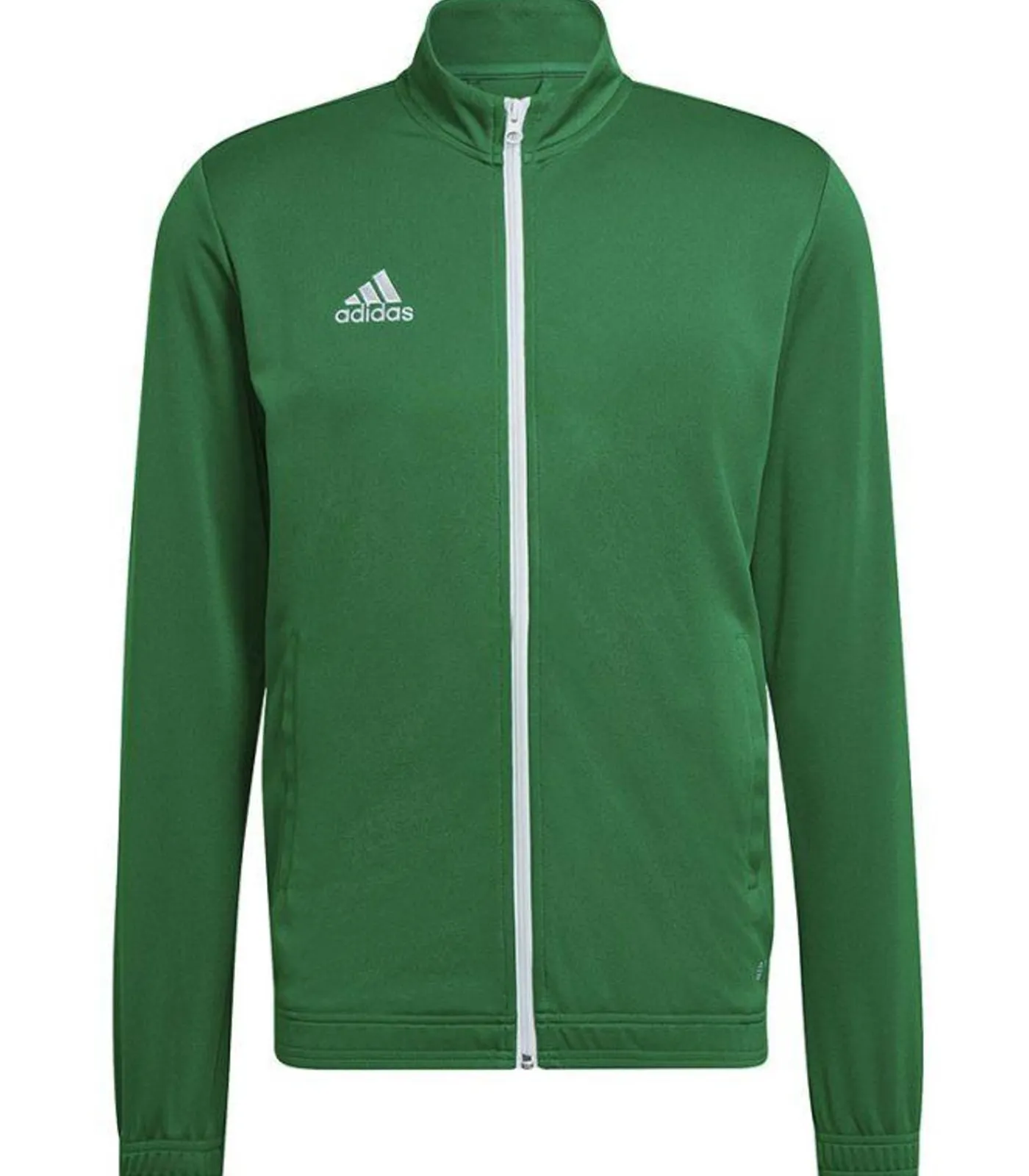 Online ENTRADA 22 - Jasje - Groen Heren Sportkledij