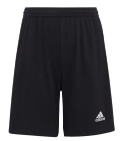 Discount ENTRADA 22 - Korte Broek - Zwart Kinderen Shorts & Broeken