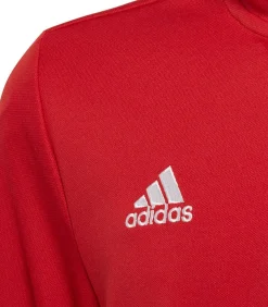 Kinderen Adidas ENTRADA 22 - Sweater - Rood