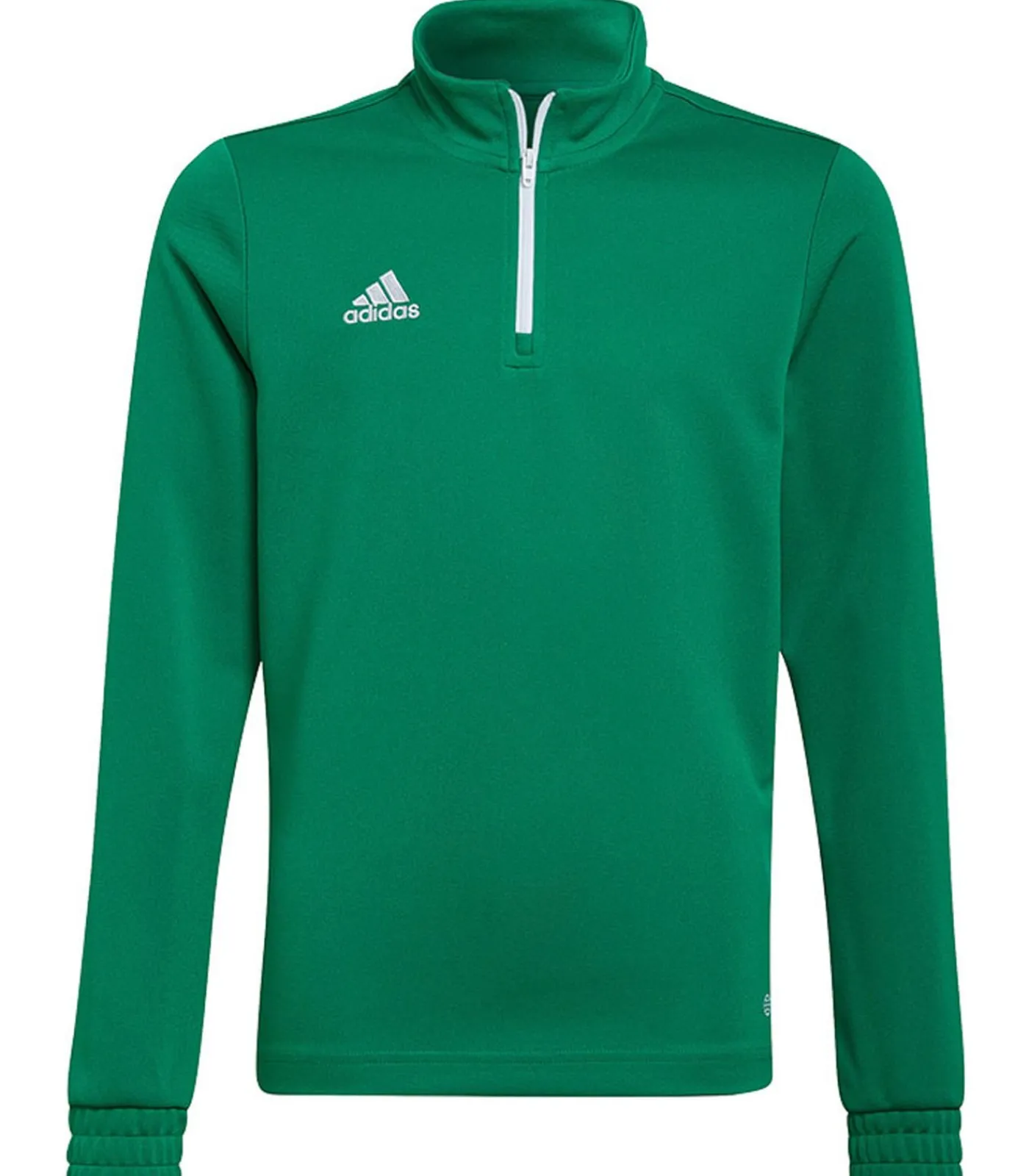 Kinderen Adidas ENTRADA 22 - Sweatshirt - Groen