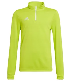 Kinderen Adidas ENTRADA 22 - Sweatshirt - Groen