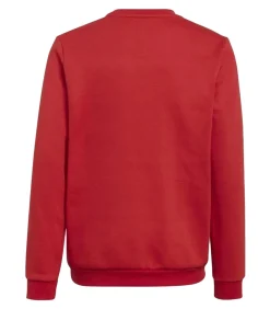 Online ENTRADA 22 - Sweatshirt - Rood Kinderen Truien & Vesten