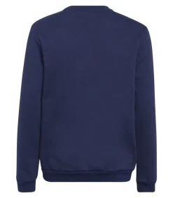 ENTRADA 22 - Trui met kap - Marineblauw Kinderen Truien & Vesten