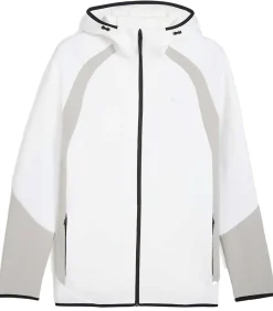 Heren PUMA Evostripe Fz Hoodie Dk