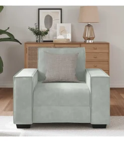 vidaXL Fauteuil 60 cm fluweel lichtgrijs