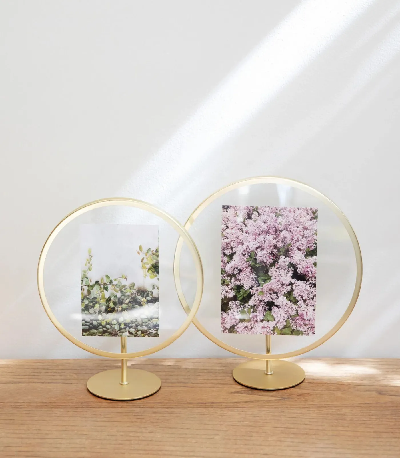 Foto houder Infinity Fotolijsten