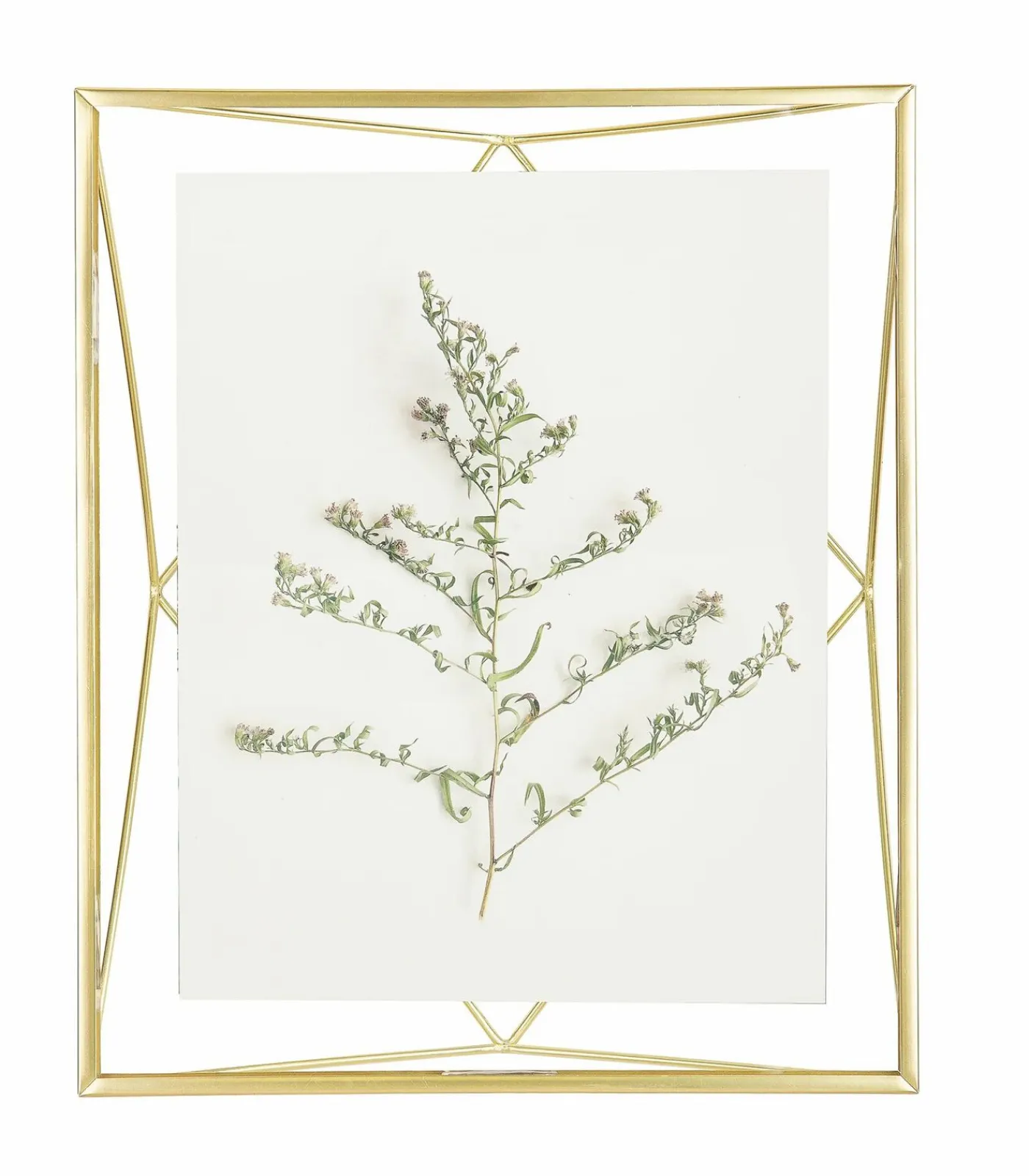 Umbra Foto houder Prisma