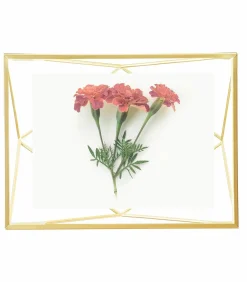 Foto houder Prisma Fotolijsten