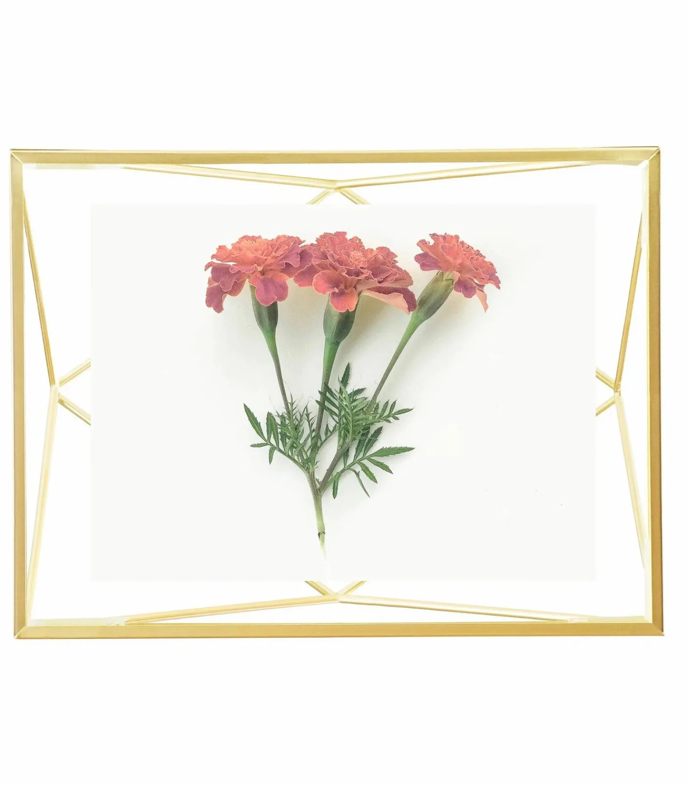 Foto houder Prisma Fotolijsten