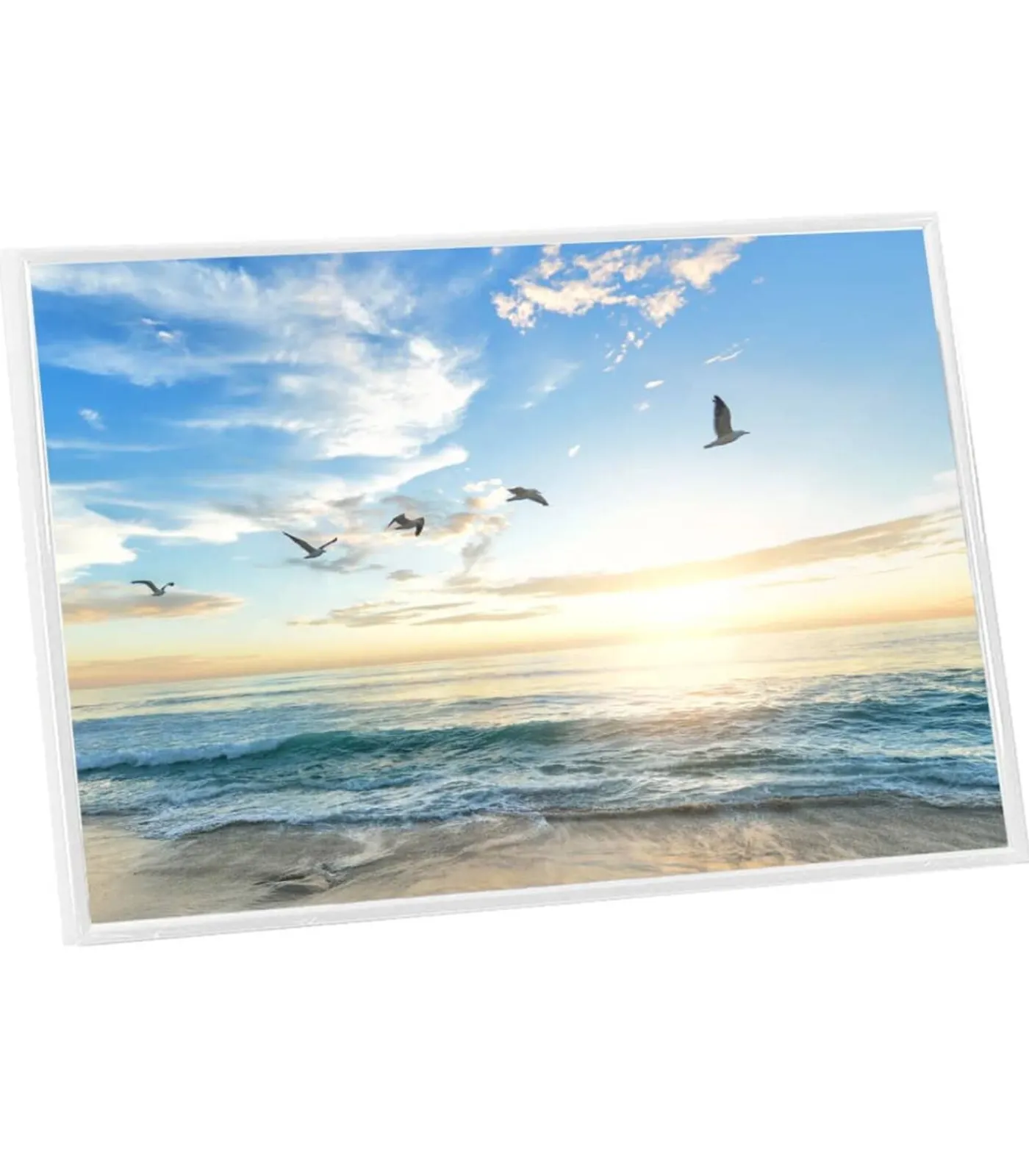 vidaXL Fotolijsten 5 st voor tafel 21x29,7 cm MDF wit