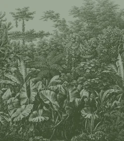 Clearance Fototapete Regenwald Wanddecoratie