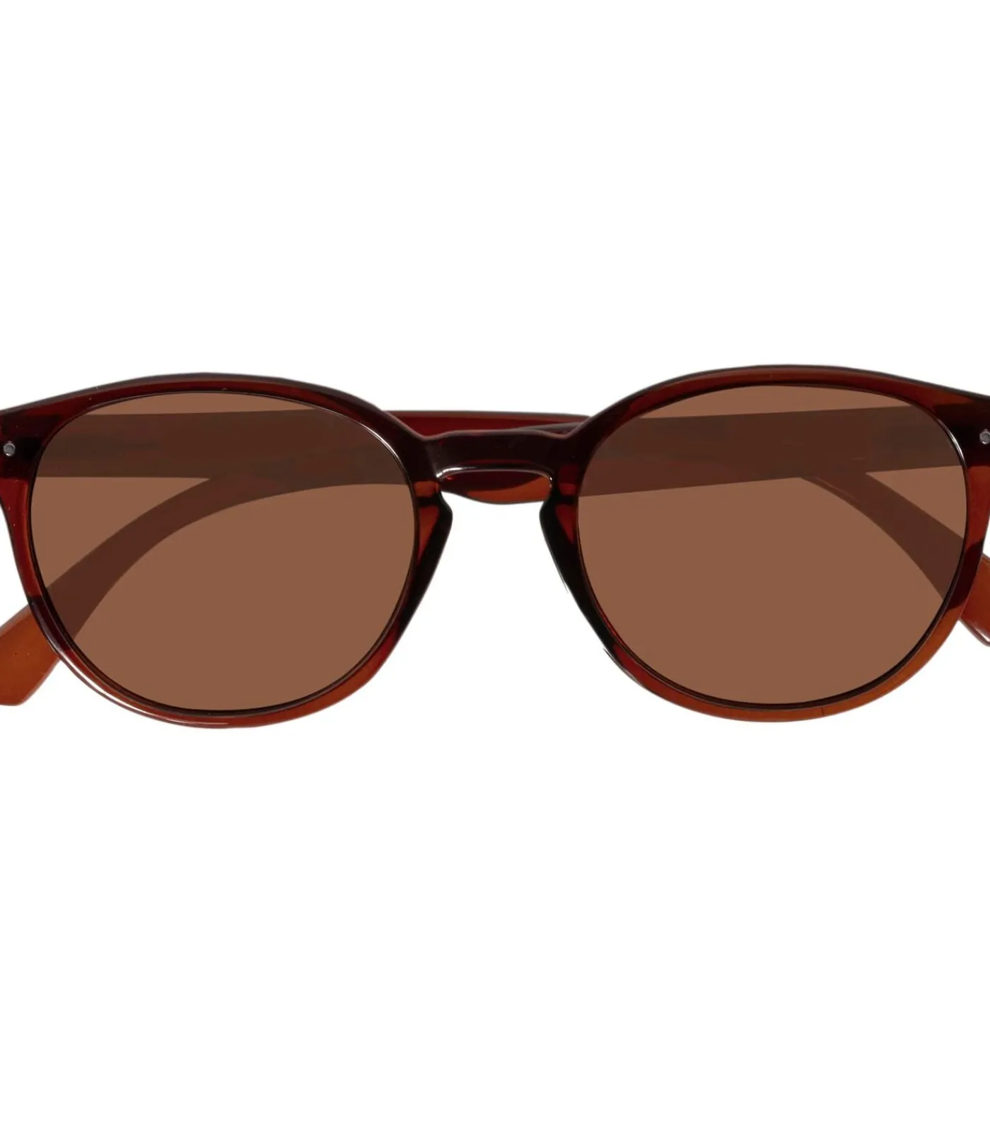 DAMES ISOTONER Gerecycleerde zonnebril Mixte Café