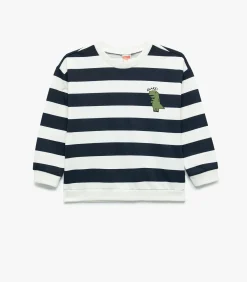 Clearance Gestreepte Sweater Lange Mouwen Dino Blauw Baby Kinderen Truien & Vesten
