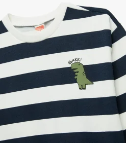 Clearance Gestreepte Sweater Lange Mouwen Dino Blauw Baby Kinderen Truien & Vesten